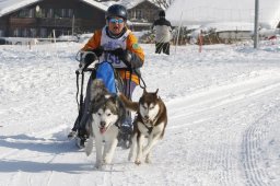 Lenk 2012 SM